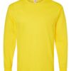Hanes 5286