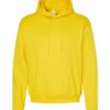 Hanes P170