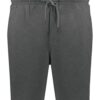 Holloway 223504