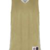 Alleson Athletic 590RSPY