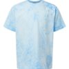 Comfort Colors 1745Y