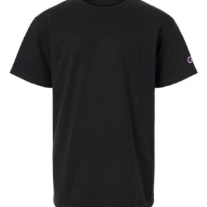 Champion CH1081