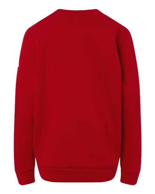 Youth Fleece Crewneck Sweatshirt