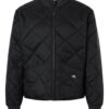 Dickies 6124
