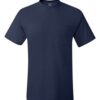 Hanes 5190