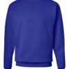 Hanes P160