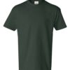 Hanes 5450