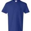 Hanes 5450