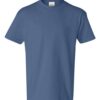 Hanes 5450