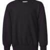 Hanes P360