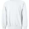 Hanes P360