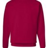 Hanes P160