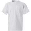 Hanes 5450