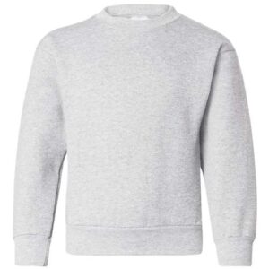 Hanes P360