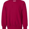 Hanes P360