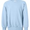 Hanes P360