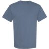 Comfort Colors 1717