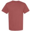 Comfort Colors 1717