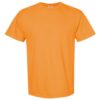 Comfort Colors 1717