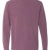 Comfort Colors 6014