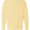 Comfort Colors 6014