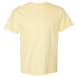 Comfort Colors 1717