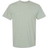 Comfort Colors 1717