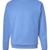 Hanes P160