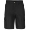 Dickies LR00ODD