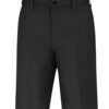 Dickies LR30