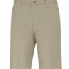 Dickies LR30