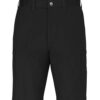 Dickies LR33EXT