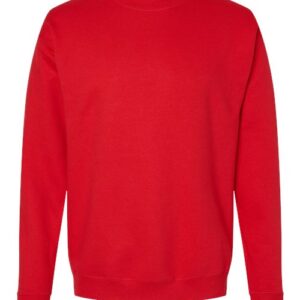 Hanes RS160