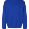 Hanes RS160