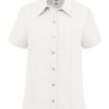 Dickies S254