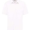 Dickies SSS46