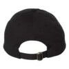 Bio-Washed Classic Dad Hat