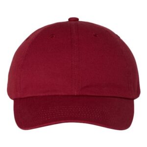 Bio-Washed Classic Dad Hat