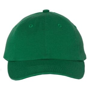 Youth Small Fit Bio-Washed Dad Hat