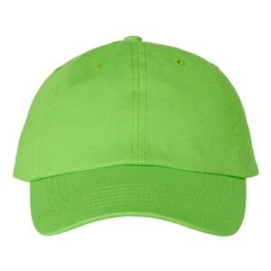Bio-Washed Classic Dad Hat