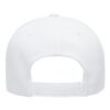 Structured Brushed Twill Cap