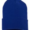 Cuffed Beanie