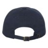 Classic Dad Hat