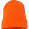 Cuffed Beanie