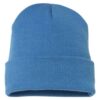Cuffed Beanie