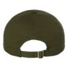 EcoWash™ Dad Hat