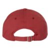 EcoWash™ Dad Hat